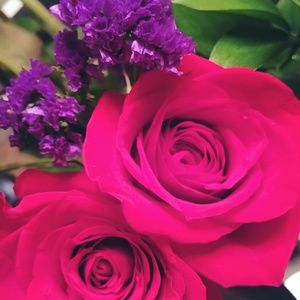 Meet your Posher, Holly